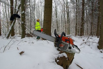 Holzeinschlag_300_Jahre_Thomashof_08