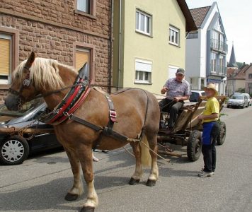 2009_Museumsfest_003