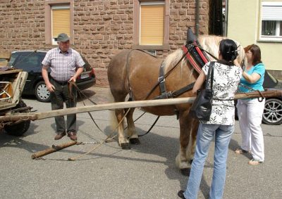 2009_Museumsfest_015