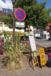 2009_Brunnenfest_Heimatverein_016