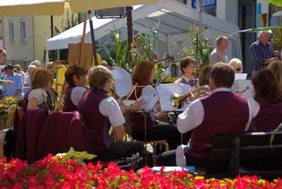 2009_Brunnenfest_Heimatverein_043