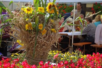 2009_Brunnenfest_Heimatverein_044