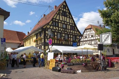 2009_Brunnenfest_Heimatverein_051
