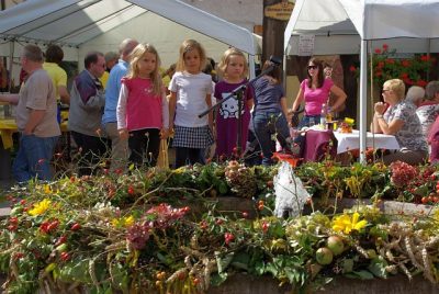 2009_Brunnenfest_Heimatverein_054