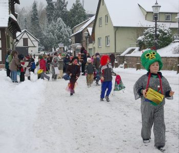 Faschingsumzug_2010_112