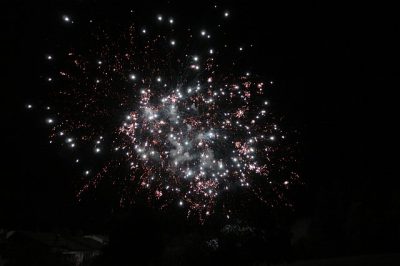 DSC00333