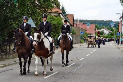 Festumzug_2011_005