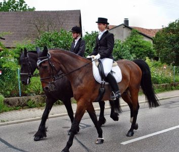 Festumzug_2011_006