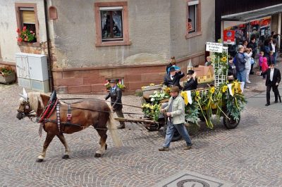 Festumzug_2011_056