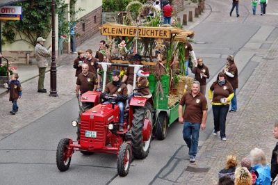 Festumzug_2011_131