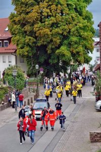 Festumzug_2011_144
