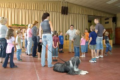 jungtierschau_2008_001