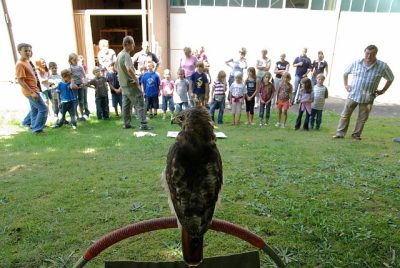 jungtierschau_2008_004