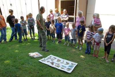 jungtierschau_2008_006