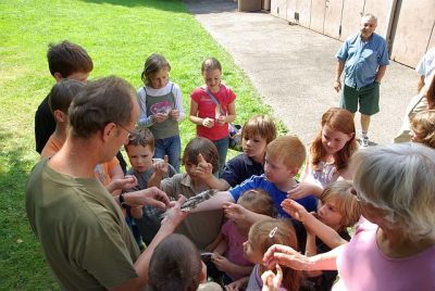 jungtierschau_2008_029