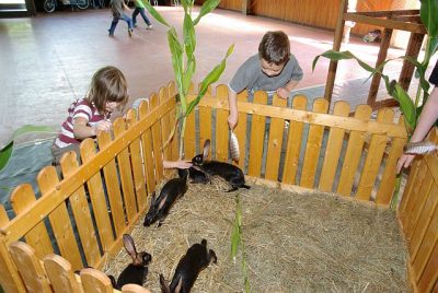 jungtierschau_2008_037