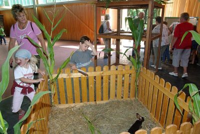 jungtierschau_2008_038