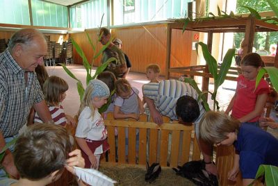 jungtierschau_2008_051