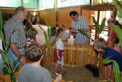 jungtierschau_2008_052