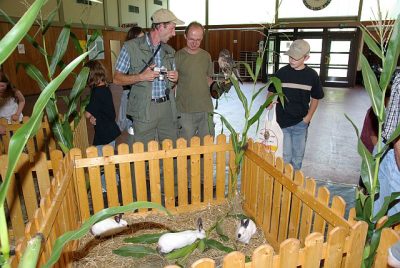 jungtierschau_2008_053