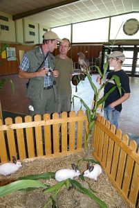 jungtierschau_2008_054