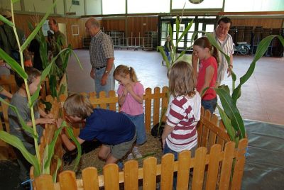 jungtierschau_2008_056
