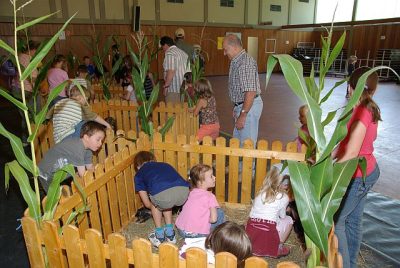 jungtierschau_2008_057