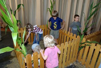 jungtierschau_2008_058