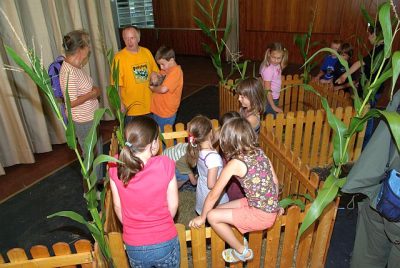 jungtierschau_2008_059