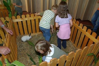 jungtierschau_2008_060