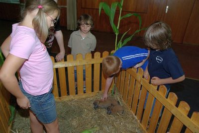 jungtierschau_2008_062