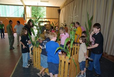 jungtierschau_2008_063