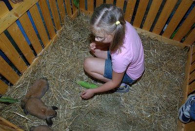 jungtierschau_2008_064