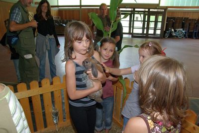 jungtierschau_2008_065