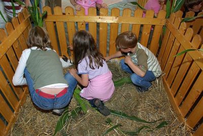 jungtierschau_2008_066