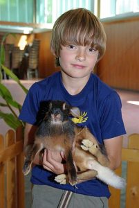 jungtierschau_2008_067