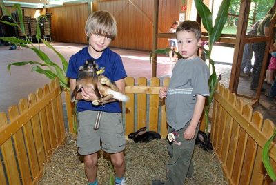 jungtierschau_2008_068