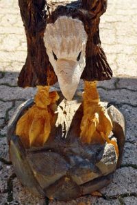 DSC08297