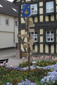 IMG_0626