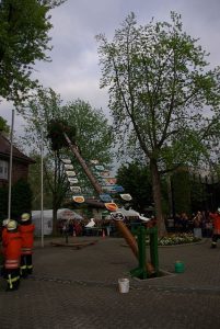IMGP0692