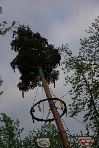 IMGP0695