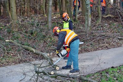2012_motorsaegenkurs_003