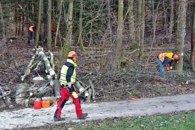 2012_motorsaegenkurs_010
