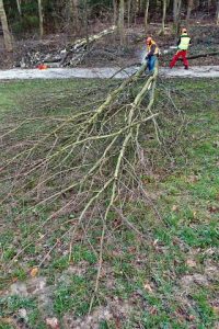 2012_motorsaegenkurs_013