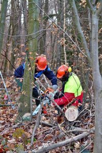 2012_motorsaegenkurs_015