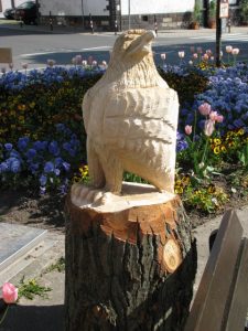 img_0631