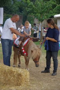 neuenbuerg_2008_043