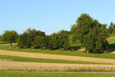 Sauschwaenzle_129
