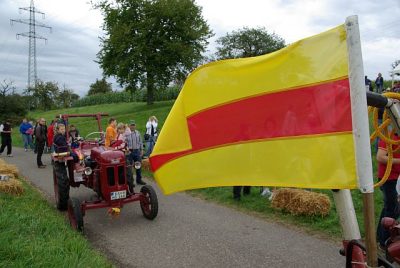 seifenkistenrennen_2008_027