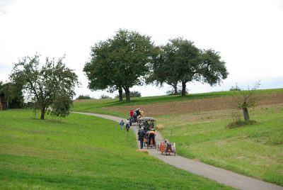 seifenkistenrennen_2008_081